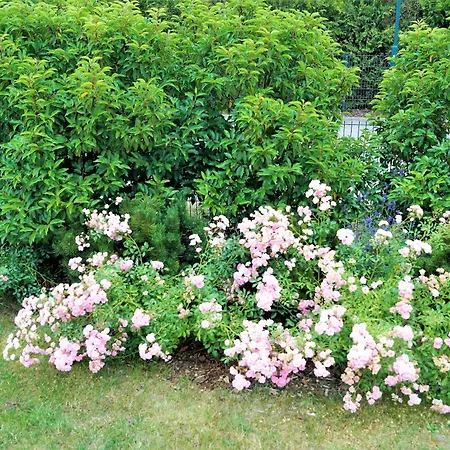 Modernes, Grosszuegiges - Naturstrand, Grosser Garten, Ruhe Hof Barendorf