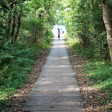 Modernes, Grosszuegiges - Naturstrand, Grosser Garten, Ruhe * Hof Barendorf